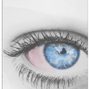 Sharof-F-Nafazolina-Gotas-15-Ml-imagen