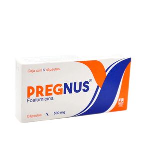 Pregnus-500Mg-6-Caps-imagen