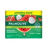 PALMOLIVE-NATURALS-4PACK-JBN-SANDI-120G-imagen
