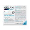 Gelan-Plus-80Mg/10Mg-Ml-10-Sbs-imagen-3
