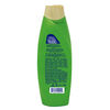 Pert-Shampoo-Olivo-Y-Aguacate-180Ml-imagen-2
