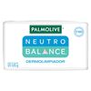 NEUTRO-BALANCE-JABÓN-EN-BARRA120G-imagen