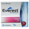 Everest-4Mg-20-Sbs-imagen-1