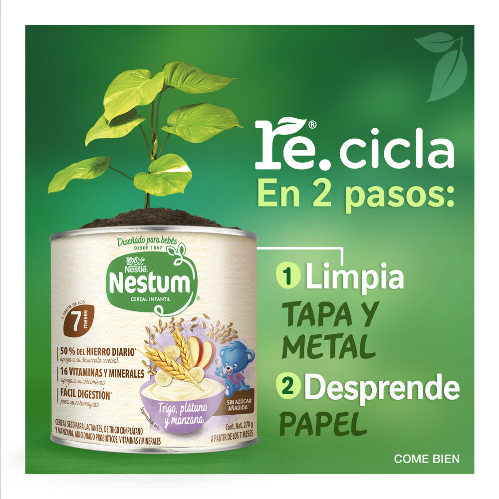 Nestum-Et-2-Trigo-Y-Frutas-270G-imagen-6