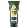 Herbal-Essences-Bío:Renew-Acon-250Ml-imagen