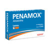 Penamox-1G-12-Tabs-imagen