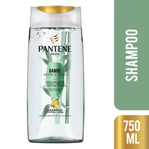 Pantene-Sh-Bambu-Contro-Caida-750Ml-imagen