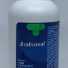 Yza-Ambroxol-15/5Ml-120Ml-imagen