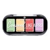 Essence-Paleta-Correctores-Pro-4G-imagen