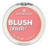Essence-Rubor-Crush!-70-5G-imagen
