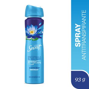 Secret-Ap-Spray-Waterlily-93G-imagen