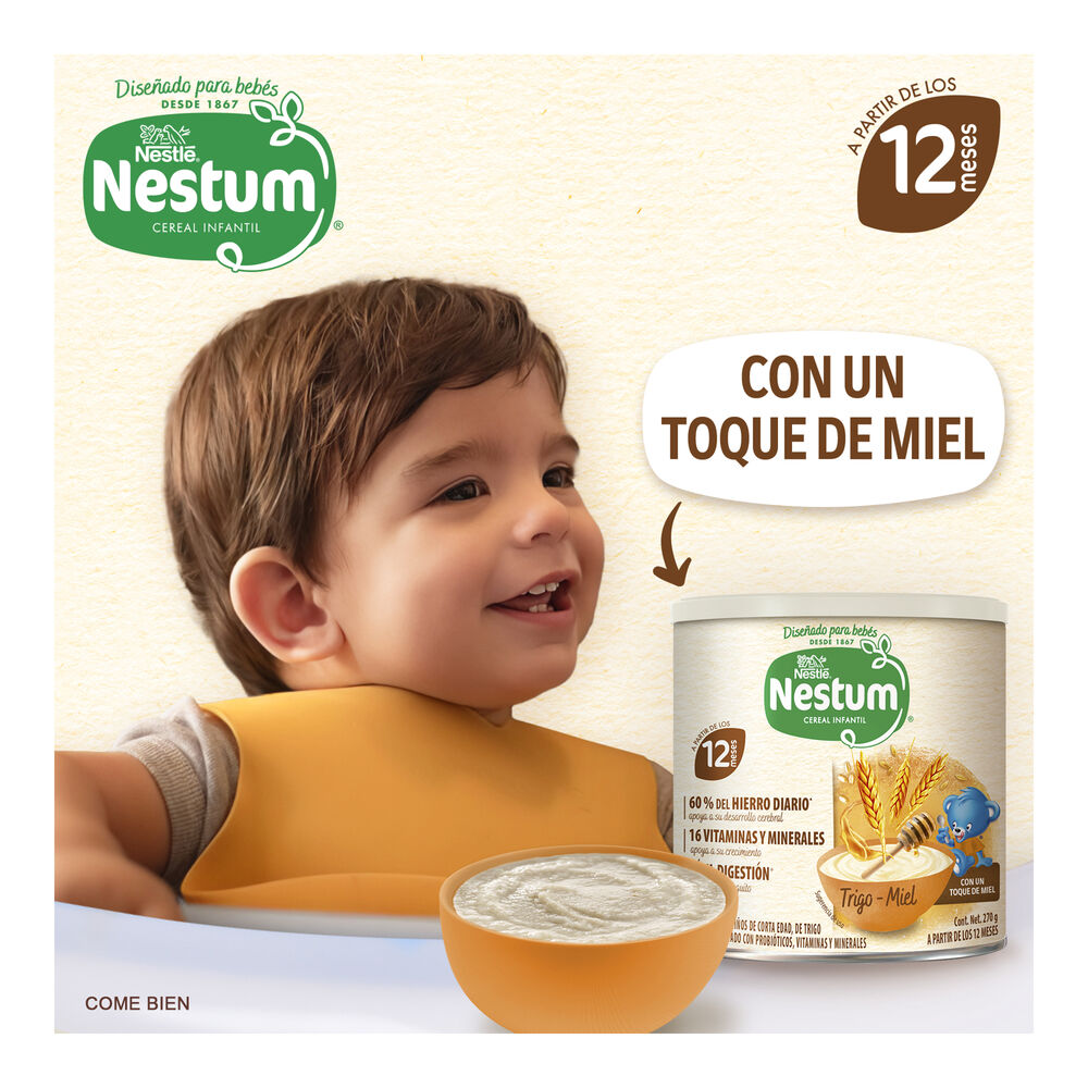 Nestum-Et-2-Trigo-Miel-270G-imagen-6