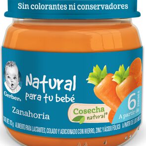 Gerber-Papilla-Etapa-2-Zanahoria-113g-imagen