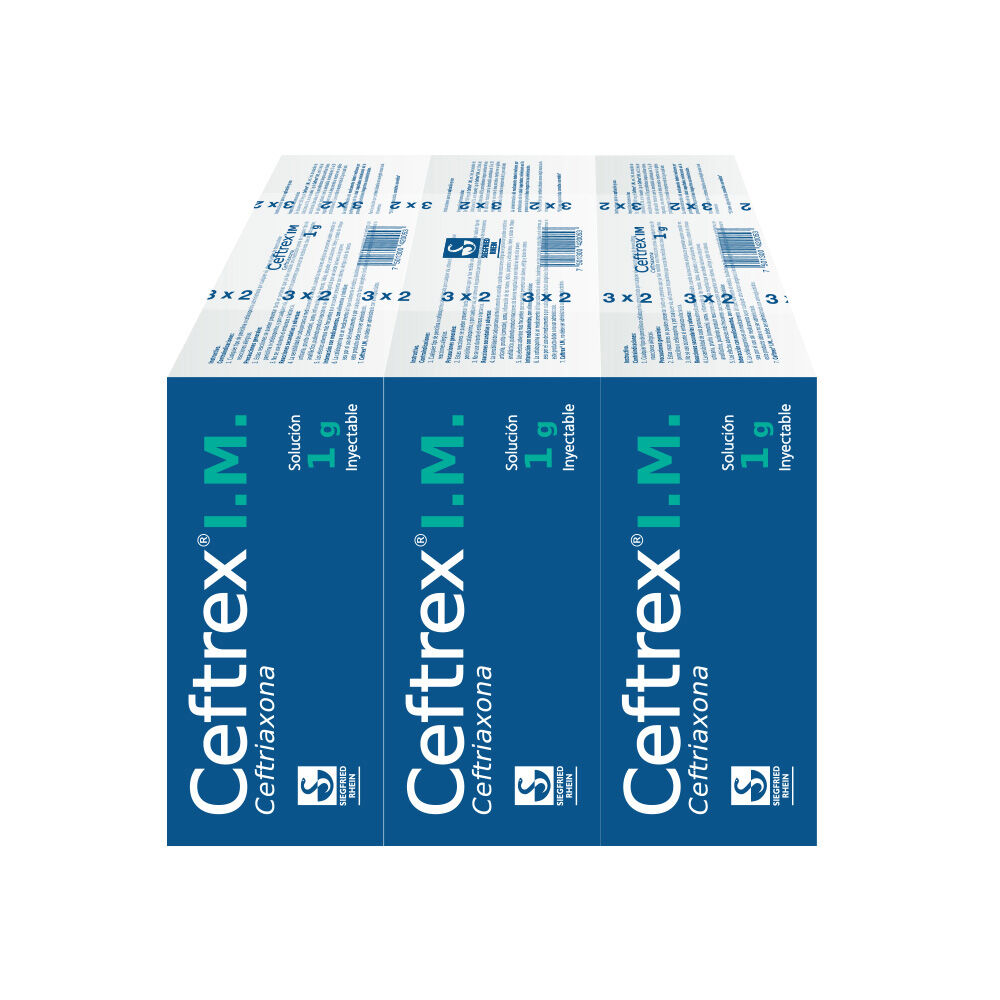 Ceftrex-IM-1-g---Ampolletas-y-vial-para-3-inyecciones-(Ceftriaxona)-imagen-2