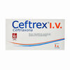 Ceftrex-Iv-Frasco-Ampula-1G-1-Amp-X-10Ml-imagen