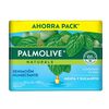 PALMOLIVE-4PACK-JBN-MENTA/EUCALIPT-120G-imagen-1