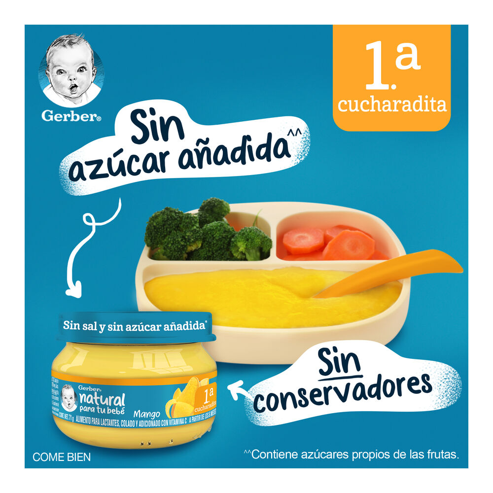 Gerber-Et-1-Pure-Mango-71G-imagen-6