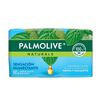 PALMOLIVE-JBN-MENTA/EUCALIPTO-120G-imagen-1