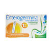 Enterogermina-Oral-4-Billones-10-Ampolletas-de-5mL-imagen