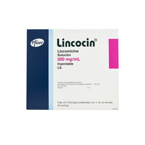 Lincocin-Pediatrico-300Mg-6-Jga-X-1Ml-imagen