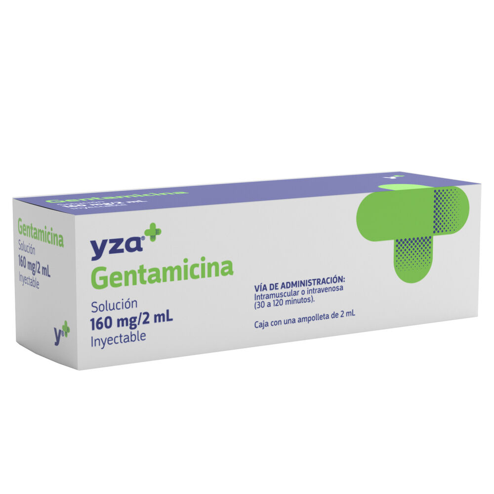 Yza-Gentamicina-160Mg/2Ml-imagen